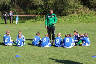 爱游戏智能平台-五大联赛是否提升边路轮换参与战术决策比重，五大联赛可以换5人