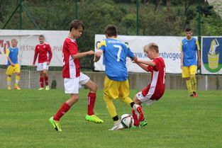 爱游戏线上-塞尔维亚实力不断提升，期待在国际大赛中突破